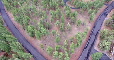 0 Saddleback Dr, Bend, OR 97703 - photo 7