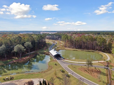 Aerial 3