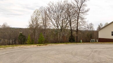 460 Arbor Pointe Trail, Dayton, TN 37321 - photo 4