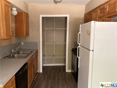 306 Orchard St, San Marcos, TX 78666 - photo 6