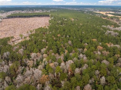 TBD-11 acres Tatoo Rd, Glenmora, LA 71433 - photo 7