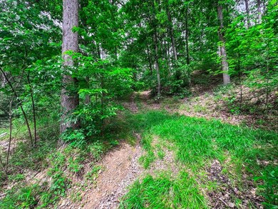 Elk River Rd unit Lot WP001, Procious, WV 25164 - photo 2