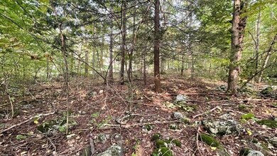 2 Thompson Pond Rd, Spencer, MA 01562 - photo 3