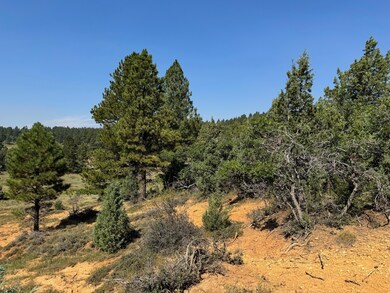 2450 Manitoban Trail, Alton, UT 84710 - photo 6