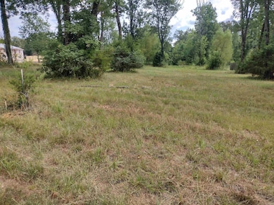 000 Frances Cove Rd, Mountain View, AR 72560 - photo 2