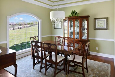 Tim Furlong Jr. - D Willet - Crooked (16