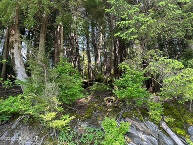 8100 N Tongass Hwy, Ketchikan, AK 99901 - photo 7