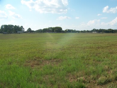 36528 Betka Rd, Hempstead, TX 77445 - photo 3