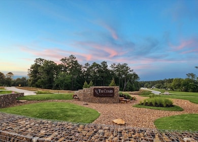 8823 Woodland Oaks Dr, Plantersville, TX 77363 - photo 4