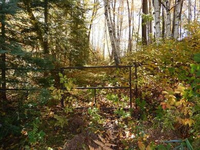 ON Foreman Rd unit 2.68 Acres, Deerbrook, WI 54424 - photo 5