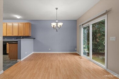 2212 Gallant Fox Cir unit 702, Montgomery, IL 60538 - photo 5