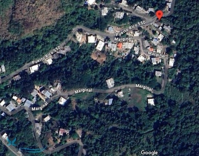 Ramal 150 Bo Guayabal Sitio Lajita unit A, Juana Diaz, PR 00795 - photo 6