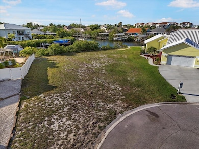 6646 Dolphin Cove Dr, Apollo Beach, FL 33572 - photo 4