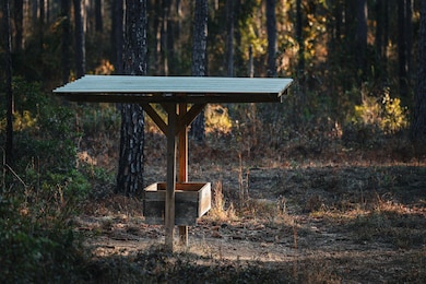 0 N County Line Rd, Sylvester, GA 31791 - photo 4