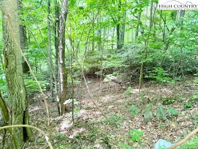 Wooded