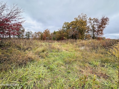 414 Nashville Hwy, Deer Lodge, TN 37726 - photo 6