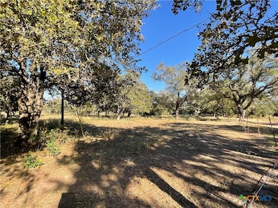 389 Hausmann Rd, Cuero, TX 77954 - photo 7