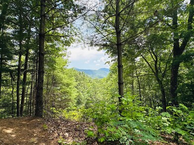 Lot #15 View Ridge Trail, Murphy, NC 28906 - photo 7