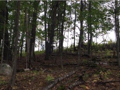 SF #10 Alpine Ln, Burke, VT 05832 - photo 6