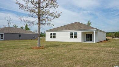 380 Spruce Pine Way unit Lot 209 - Kerry B, Conway, SC 29526 - photo 2