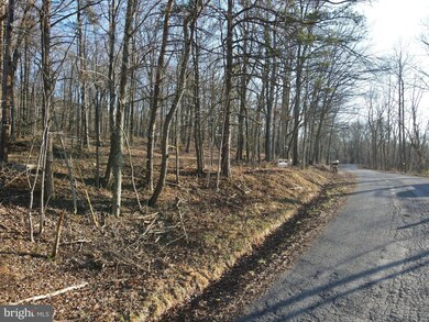 0 Spring Gap Rd unit WVHS2002540, Slanesville, WV 25444 - photo 7