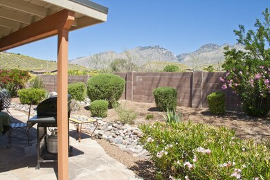 Backyard Views