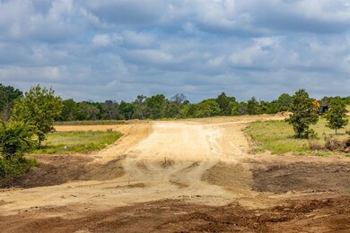 249 Latigo Way, Weatherford, TX 76088 - photo 4