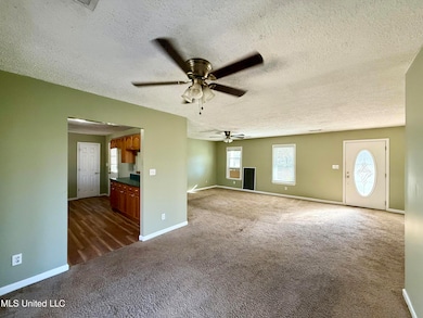 970 Ripley Ave, Ashland, MS 38603 - photo 4