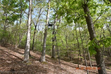 20819 E Steely Hollow Rd, Steely Hollow, OK 74464 - photo 6