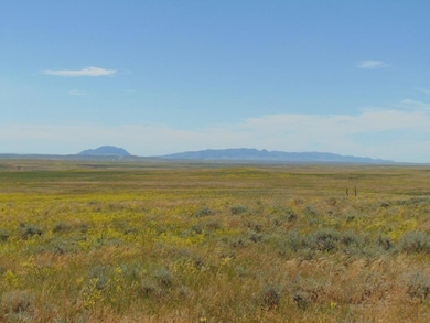 Tbd Wilder Trail, Roy, MT 59471 - photo 6
