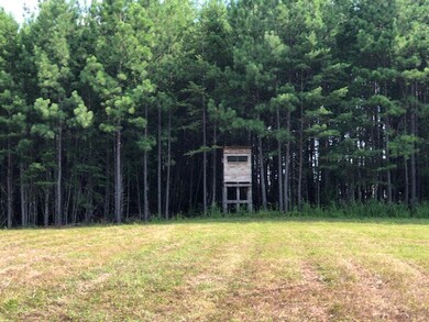Deer Stand