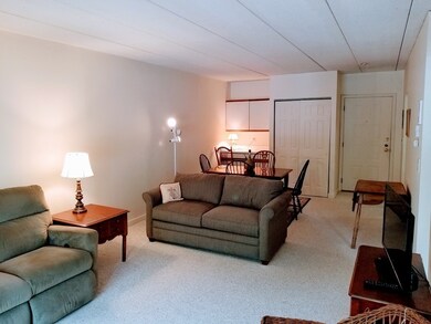 Totten Pond Village unit 16A, Waltham, MA 02451 - photo 5