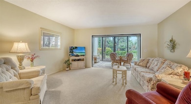 Living room w view out lanai and to pool