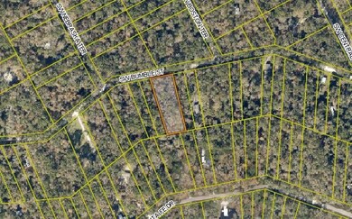 0 SW Bumble St, Ft. White, FL 32038 - photo 3