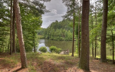 Additional View