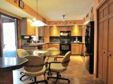 215 Shingle Mill Dr, Drums, PA 18222 - photo 6