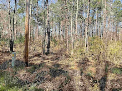 TBD Florence Ln, Kingstree, SC 29556 - photo 3