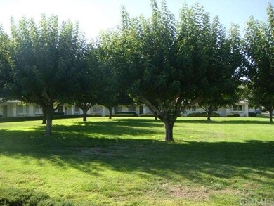 Beautiful Tree lined Courtyard
