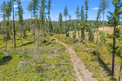 NNA Dry Creek Rd unit Lot 2, Chewelah, WA 99109 - photo 5