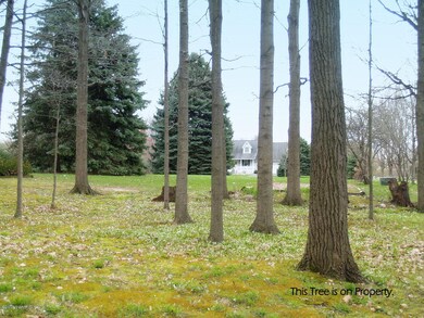 Left Side of Property