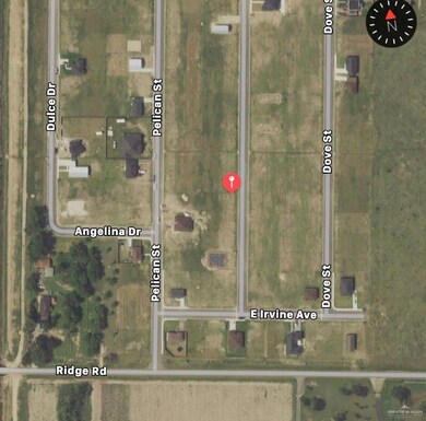 821 Sabrina Dr, Alamo, TX 78516 - photo 2