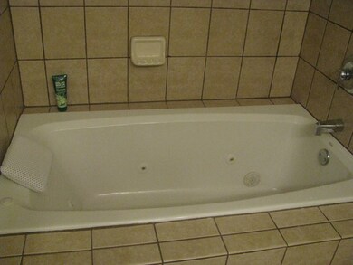 Jetted Tub in Master