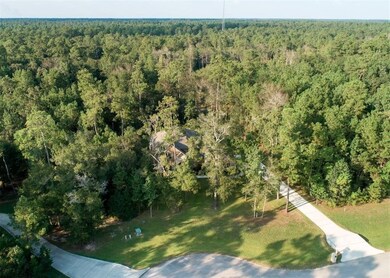 10210 Lost Path Ln, Magnolia, TX 77354 - photo 3