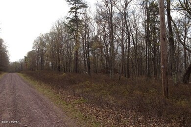 156 Mountain Top Rd, Lackawaxen Township, PA 18435 - photo 2