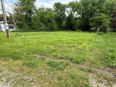 Vacant Lot in the Ozarks1