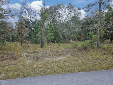1281 SW Viburnum Rd, Dunnellon, FL 34431 - photo 6