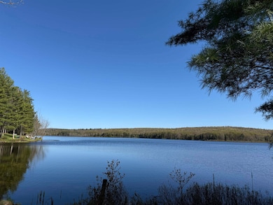 10 Miles Ln, Oswegatchie, NY 13670 - photo 7