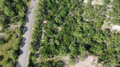 00 N Ebony Ave, Roma, TX 78584 - photo 6