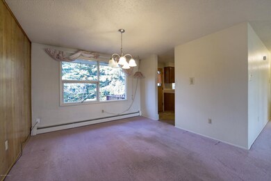 Open Concept Living Area