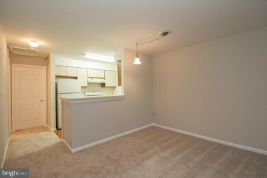 13585 Orchard Dr unit 13585, Clifton, VA 20124 - photo 7